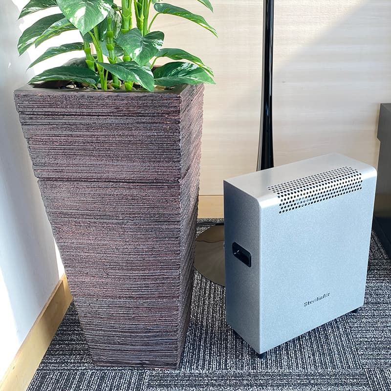 ステライザと植木